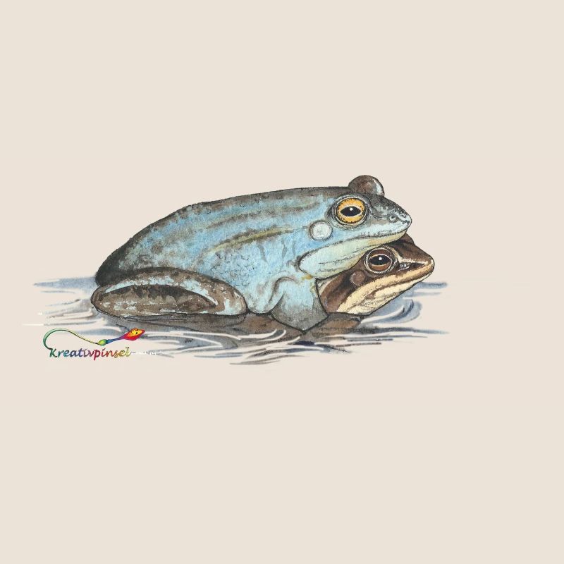 Moor frog