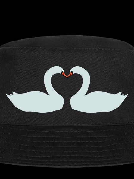 cygne