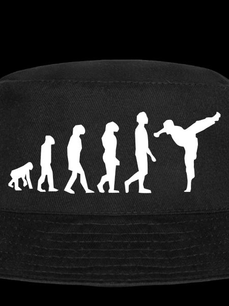 Martial arts evolution