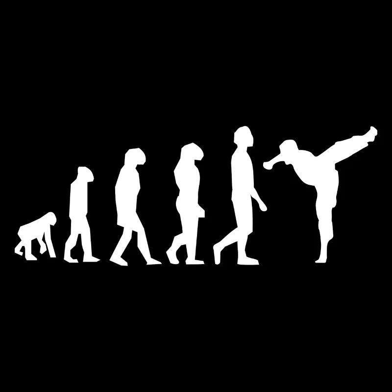 Art martiaux évolution