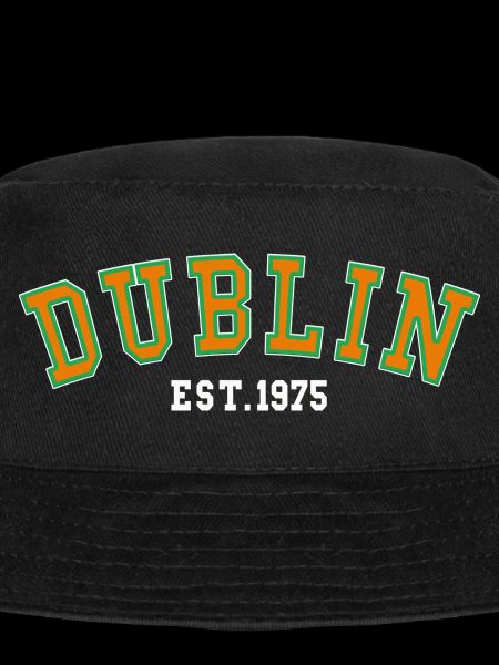 Cité de Dublin 1975