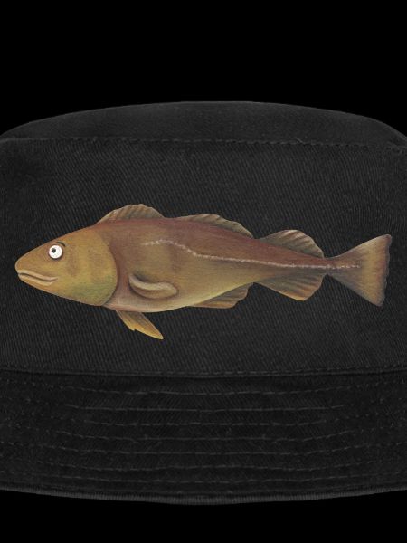 Cod