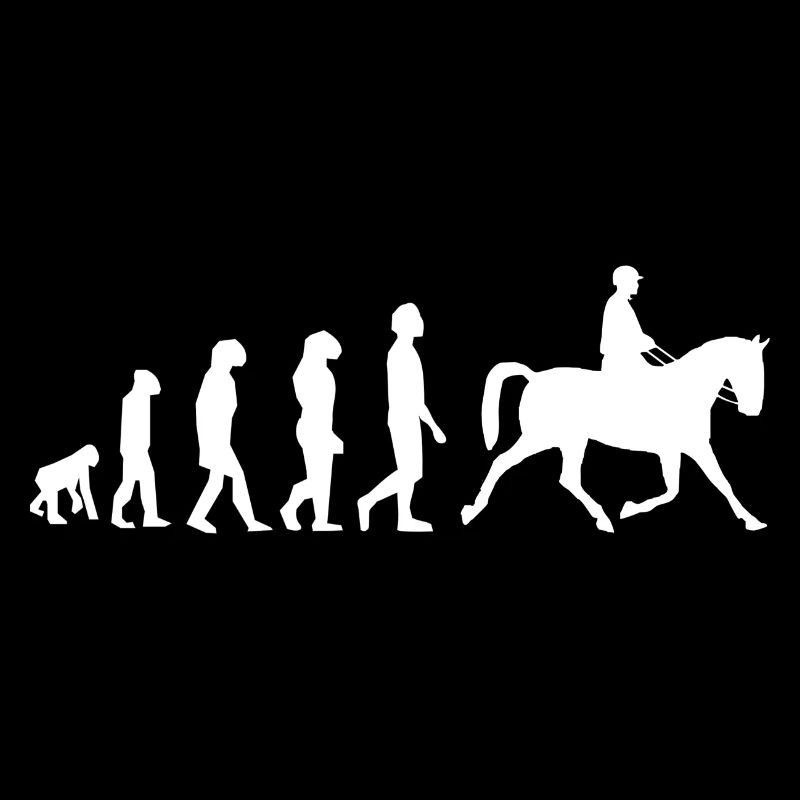 Équitation évolution