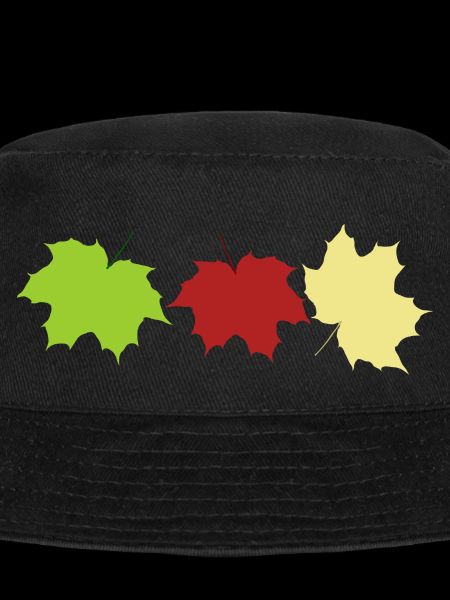 autumn leaves