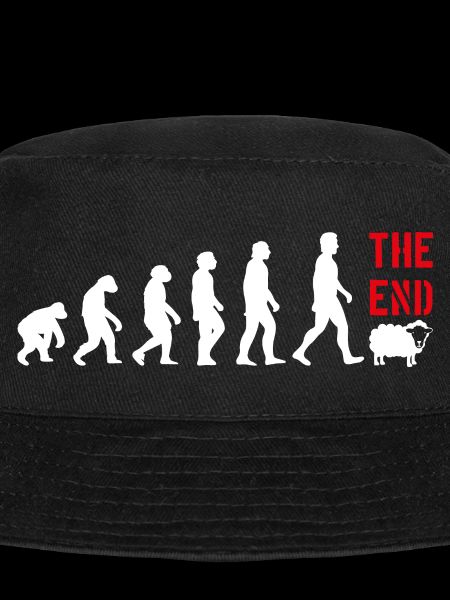 EVOLUTION WITZIG LUSTIG