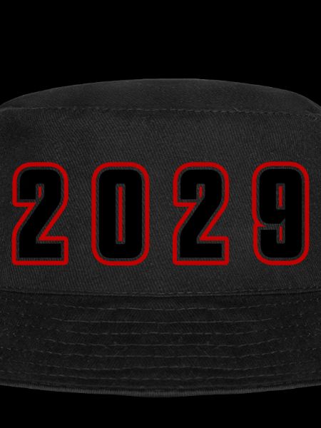 Numéro d’année 2029