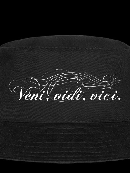Veni vidi vici