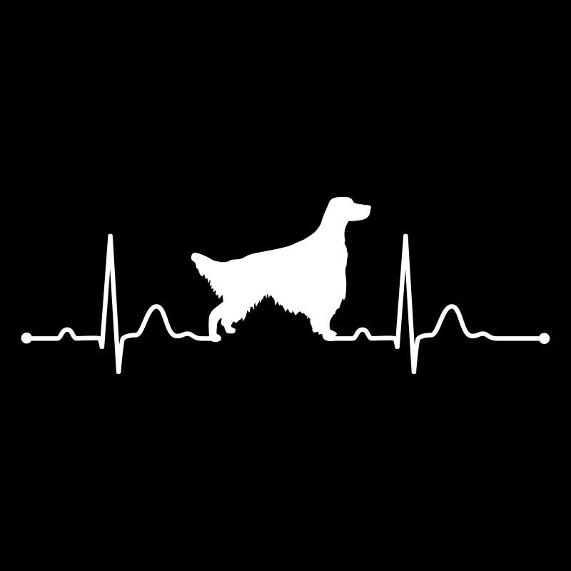 IRISH SETTER heartbeat Rythme cardiaque