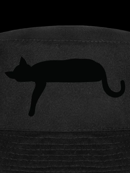 Silhouette de chat s’couchant