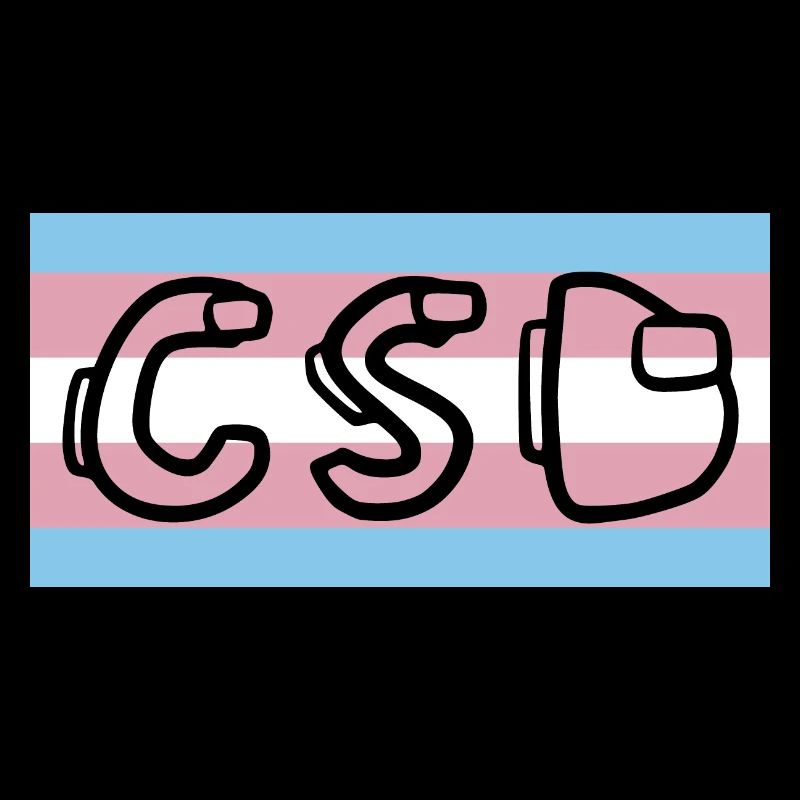 trans pride flag csd