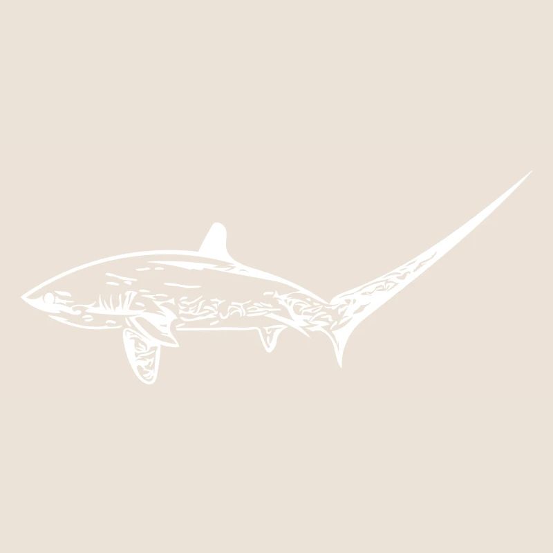 Requin renard élégant