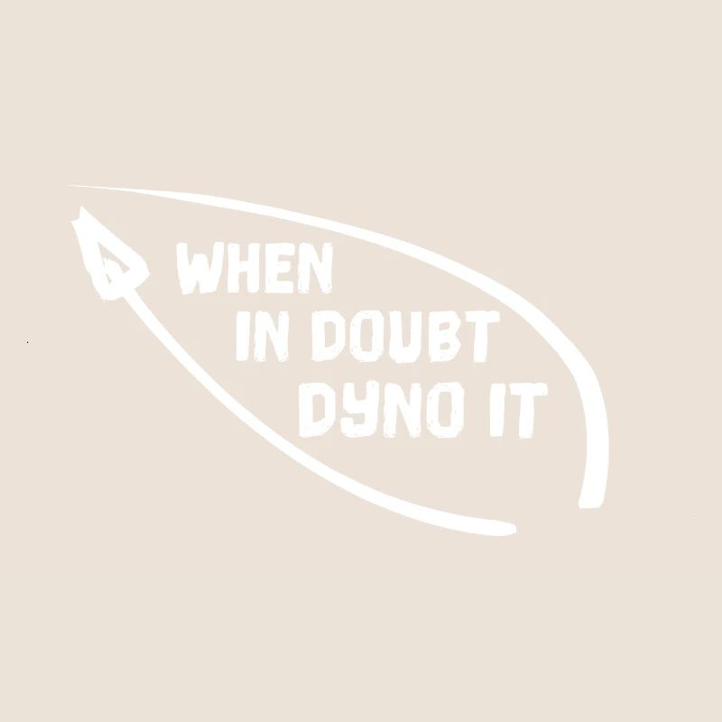 WHEN IN DOUBT DYNO IT Klettern bouldern Kletterer