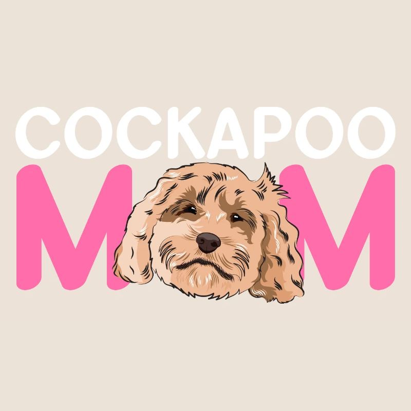 Cockapoo Hund