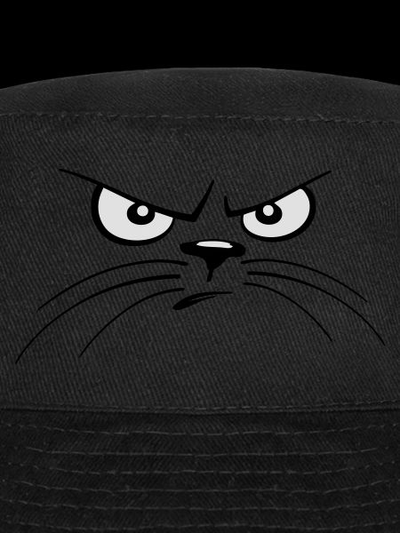 Chat - cat eyes