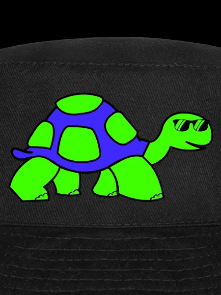 cool turtle