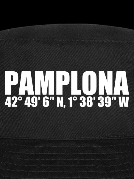 Coordonnées de Pampelune
