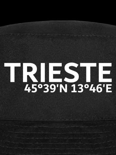 Coordonnées de Trieste