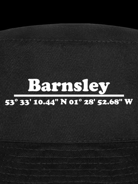 Coordonnées de Barnsley
