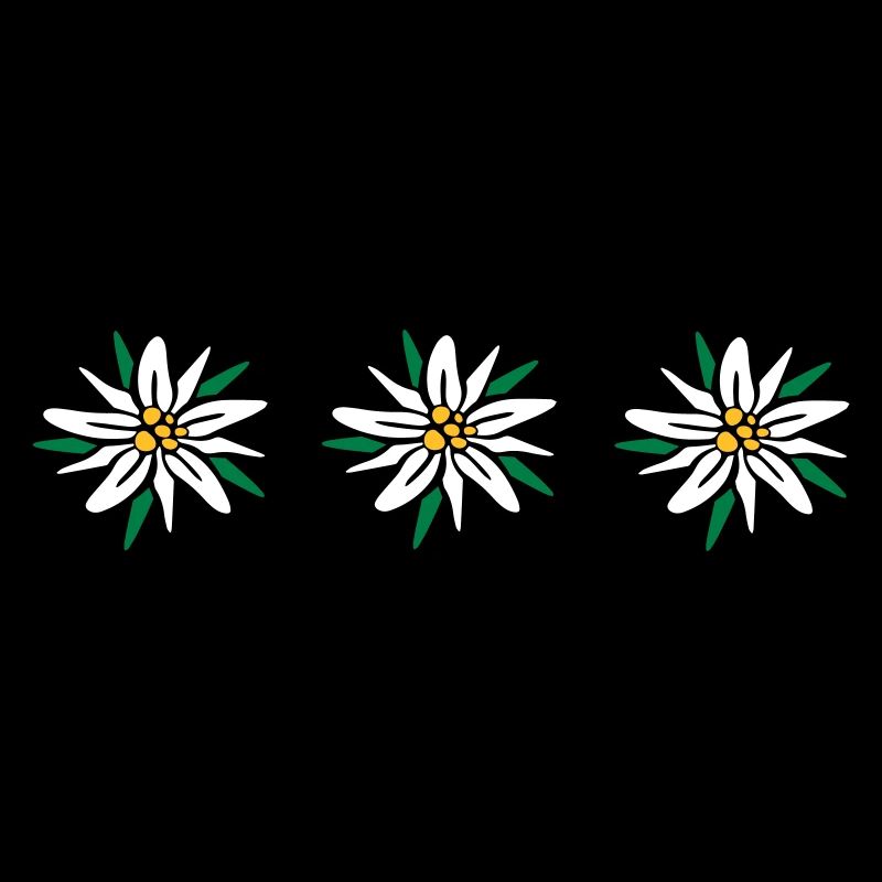 Edelweiss