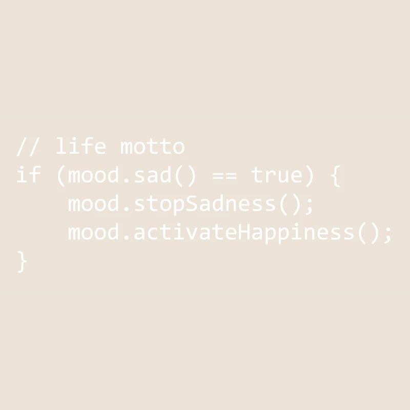 life motto for a programmer/informatiker