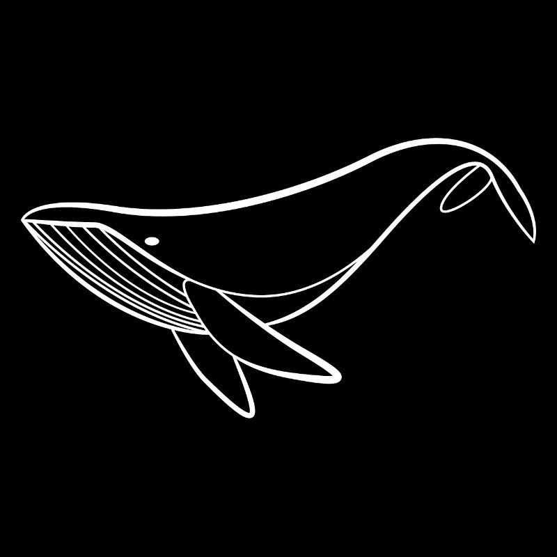 Baleine nageoire mer