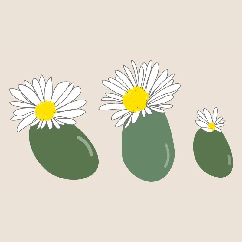 Lithops Blüte2
