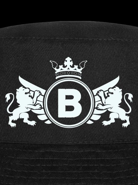 Blason impérial avec couronne de lion