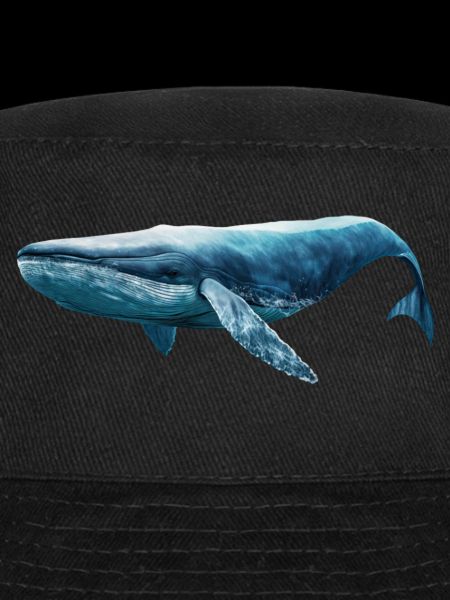 Blue whale