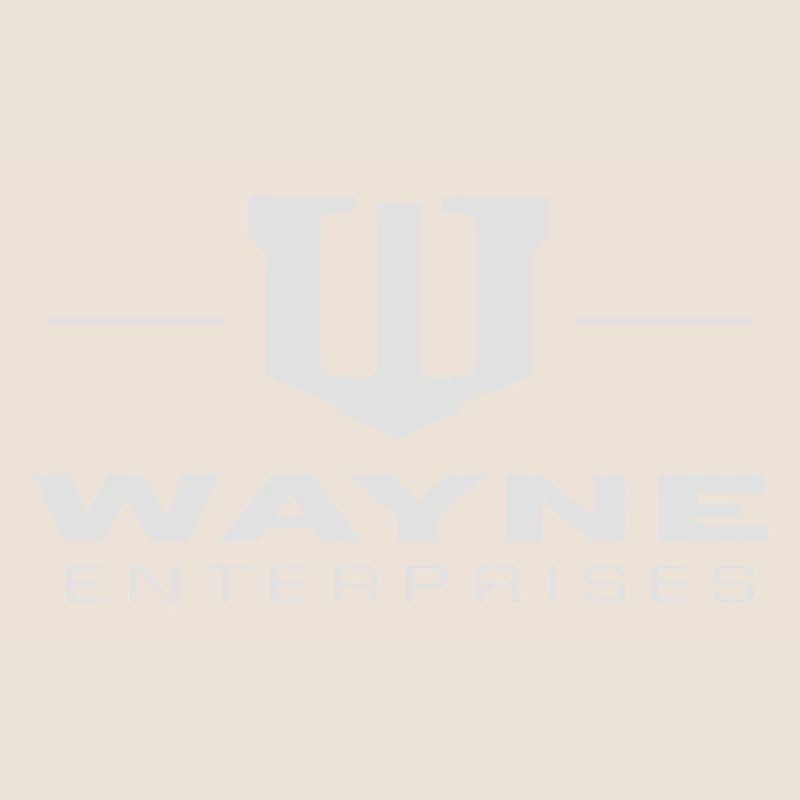 Batman 'Wayne Enterpreises'