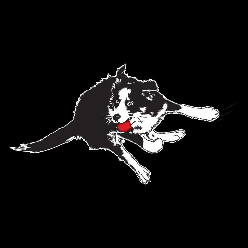 Flyball2