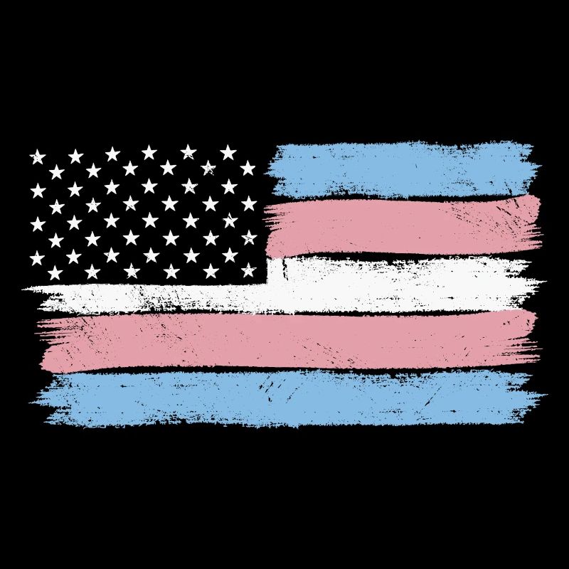 Transgender Pride USA LGBT Trans Drapeau