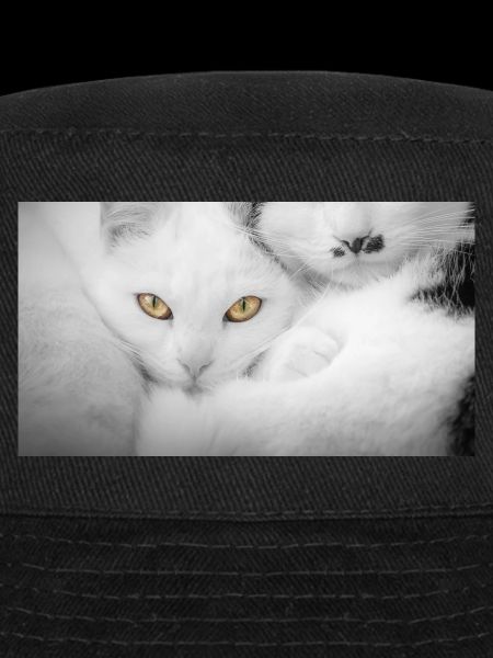Chats