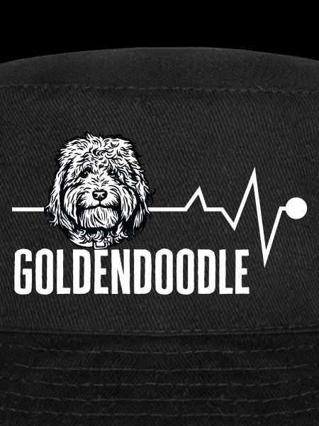 Goldendoodle Doodle Chien