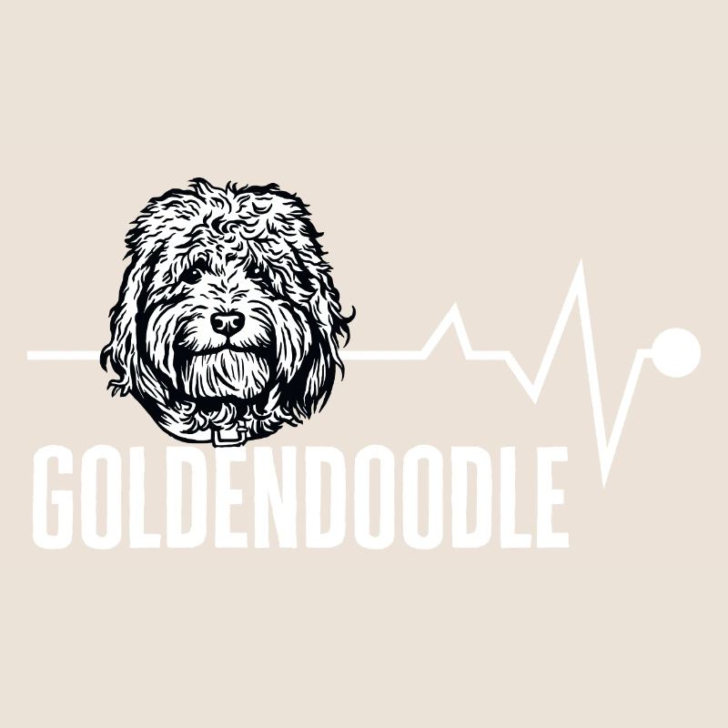 Goldendoodle Doodle Chien
