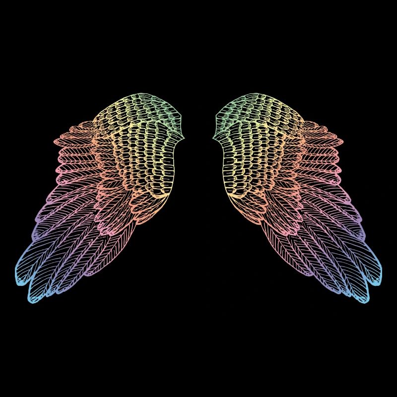 Ailes d'ange colorées arc-en-ciel