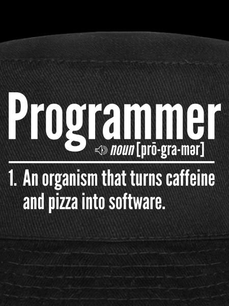Programmeur