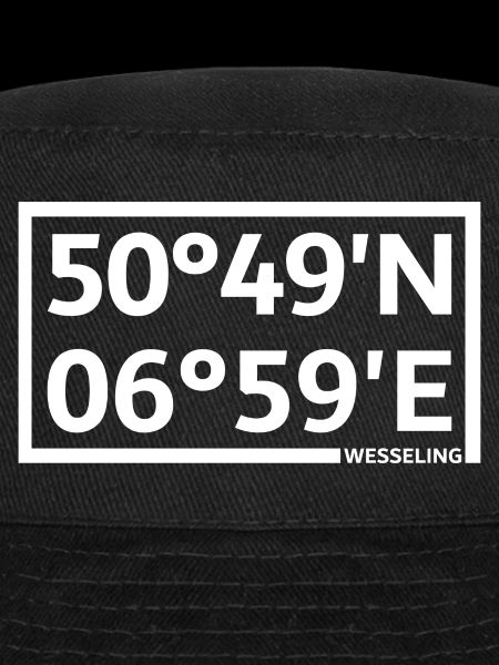 Coordonnées de Wesseling