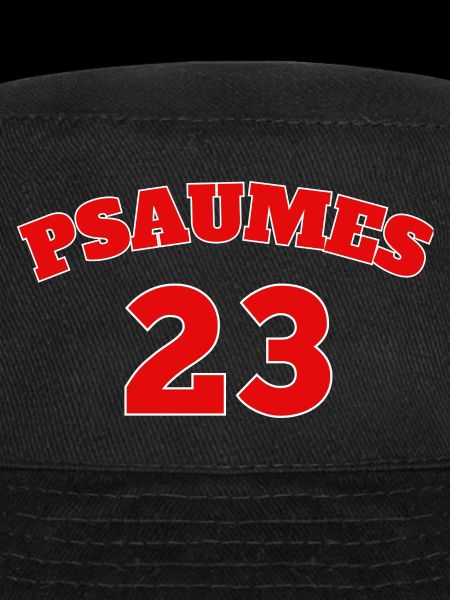 Psalm 23 Bible verse