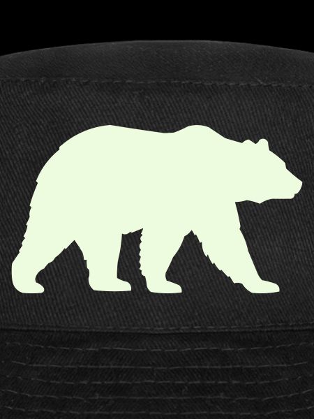grizzly_baer-