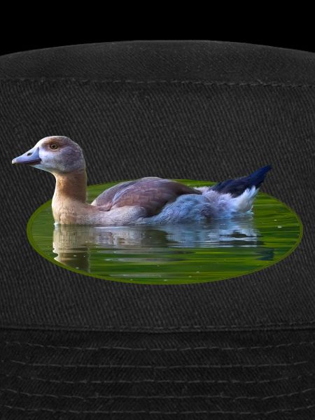 Goose Goose Chick
