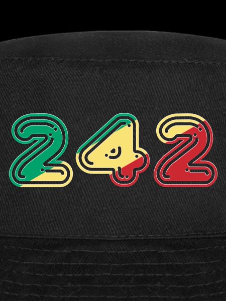 Team 242 CONGO