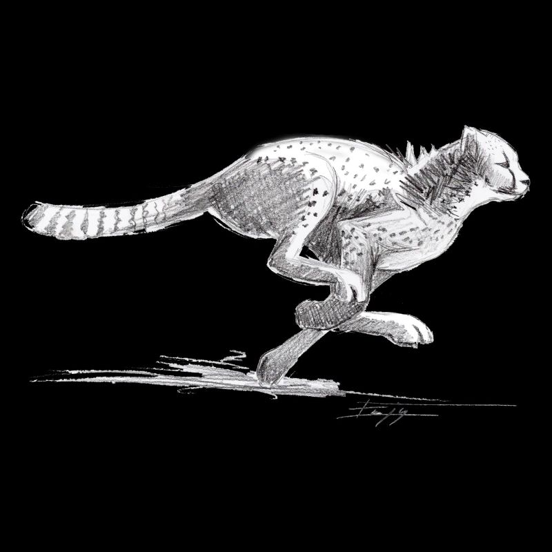 Guépard
