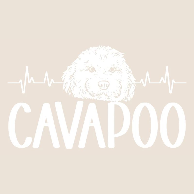 Cavapoo Cavoodle Capoodle Dog