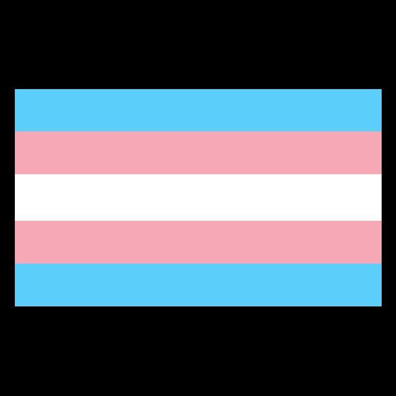 Drapeau de la fierté transgenre