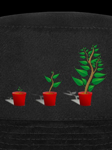 Plant growth