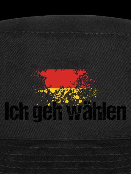 ich geh wählen