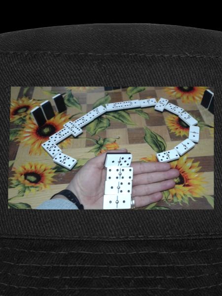 Domino