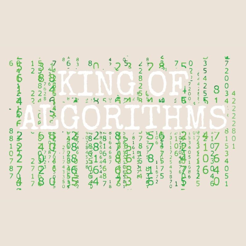 Software Ingenieur Informatiker Programmierer