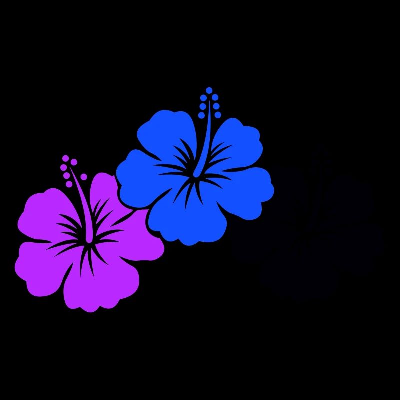 Fleurs d’hibiscus