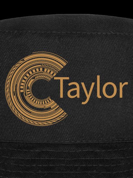 Für Taylor
